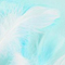 sound of feathers