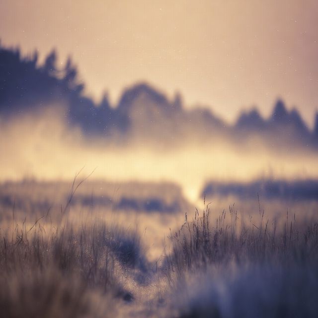 Fading Nostalgia