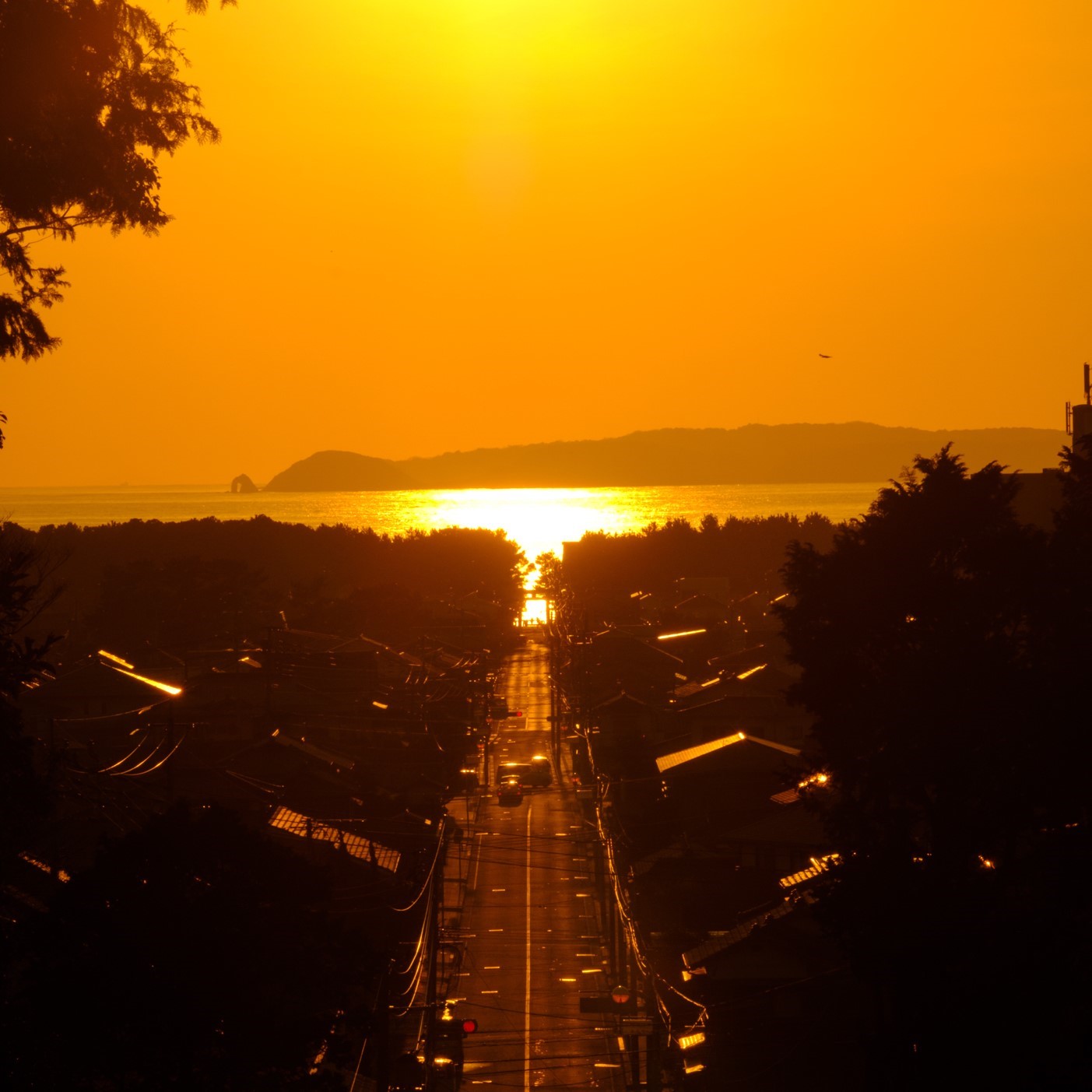 Path of Light