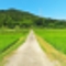 夏休み