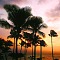 Tropical Twilight