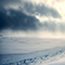 Snowstorm