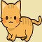 Cute kitten
