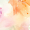 花言葉