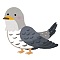 カッコウの鳴き声