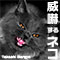 威嚇するネコ