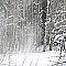 猛吹雪、強風