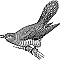 カッコウの鳴き声