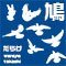 鳩だらけ