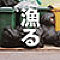 漁る