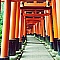 Koto_SE1